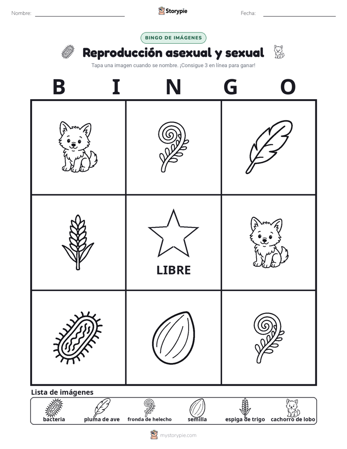 Bingo de Imágenes