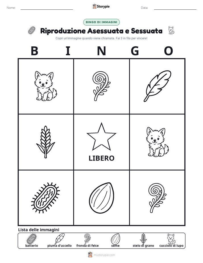 Bingo delle Immagini