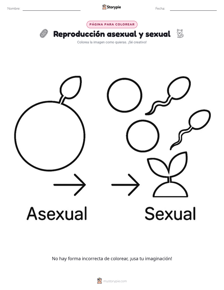 Página para Colorear