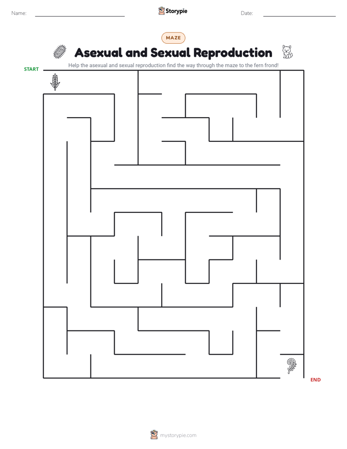 Maze