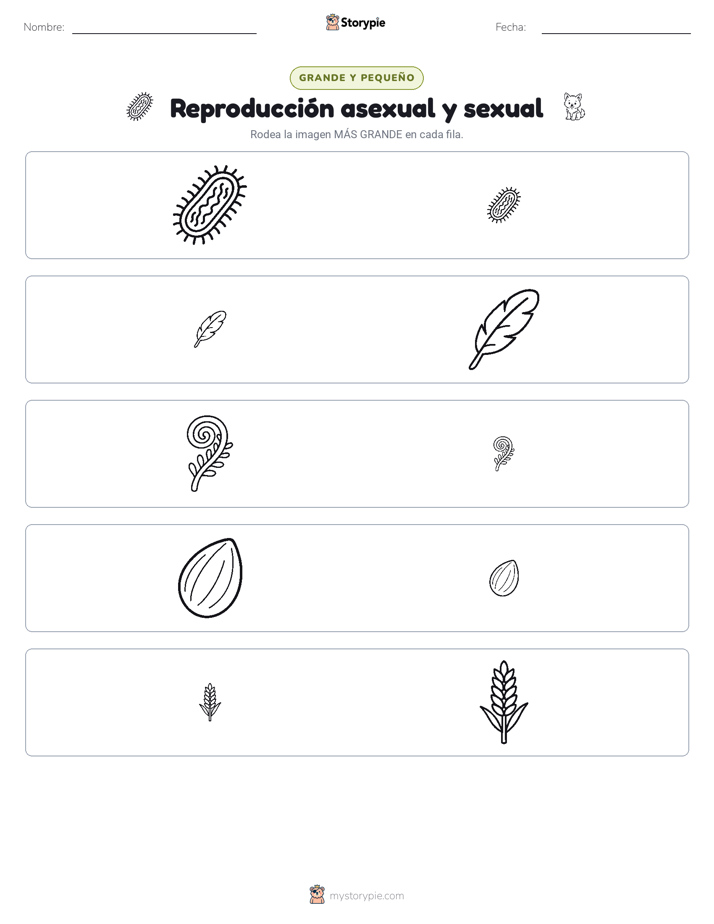 Clasificación
