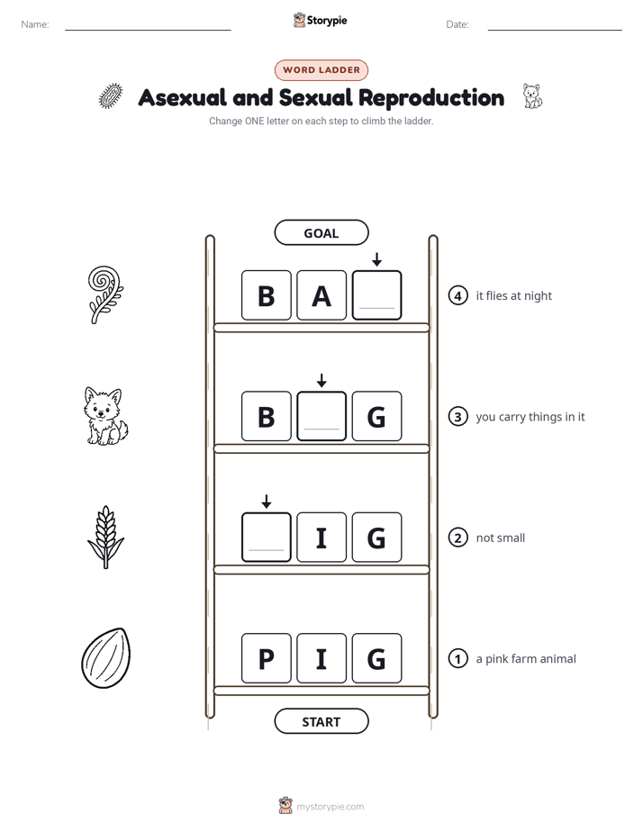 Word Ladder