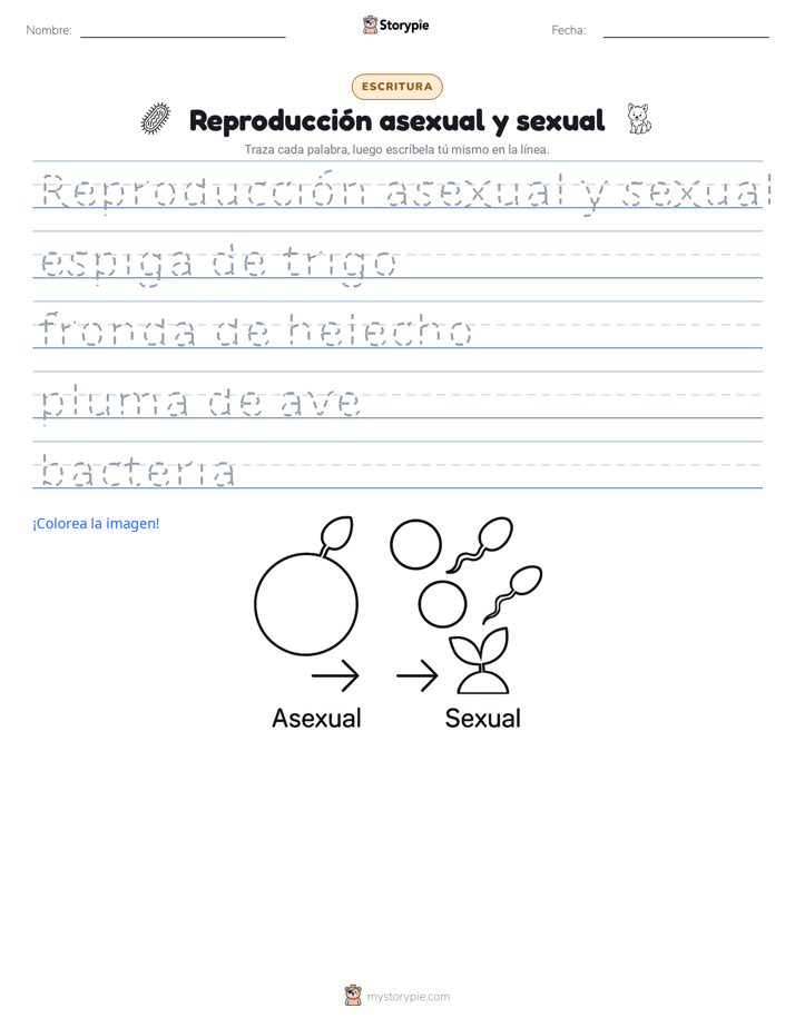 Práctica de Escritura