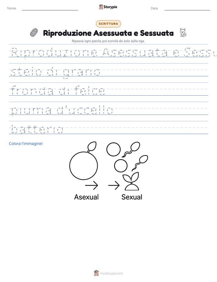 Pratica di Scrittura