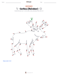 Caribou (Reindeer) printable worksheet preview