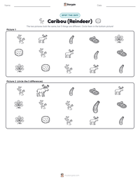 Caribou (Reindeer) printable worksheet preview
