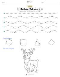 Caribou (Reindeer) printable worksheet preview