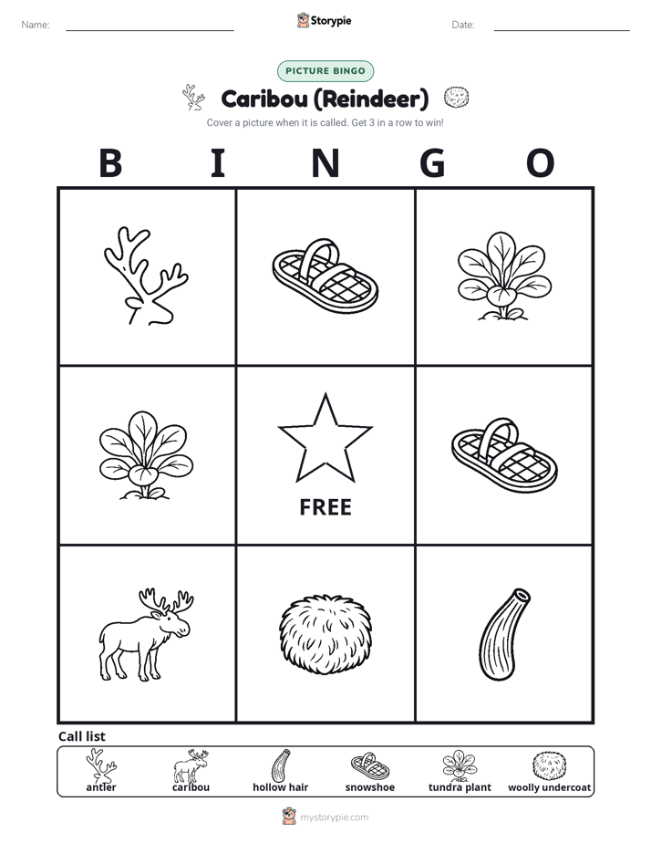 Picture Bingo