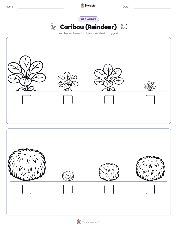Size Order