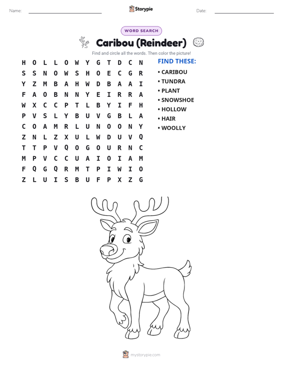 Word Search