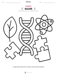Genetik druckbare Arbeitsblatt Vorschau