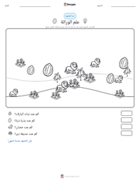 معاينة ورقة العمل القابلة للطباعة علم الوراثة