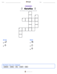 Genetics printable worksheet preview