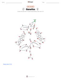 Genetics printable worksheet preview