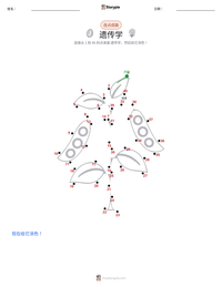 遗传学 可打印工作表预览