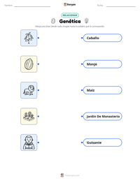 Vista previa de la hoja de trabajo imprimible de Genética