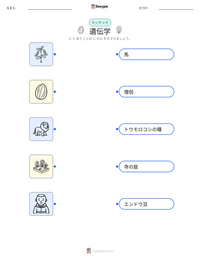 遺伝学 の印刷可能ワークシートプレビュー