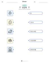 유전학 인쇄 가능한 워크시트 미리보기