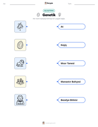 Genetik yazdırılabilir çalışma sayfası önizlemesi