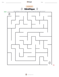 Aperçu de la feuille de travail imprimable Génétique