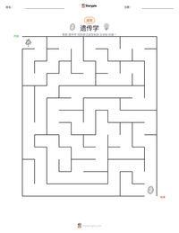 遗传学 可打印工作表预览
