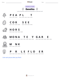Genetics printable worksheet preview