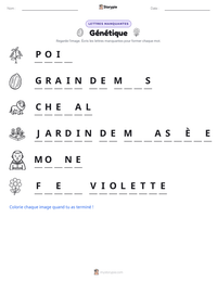 Aperçu de la feuille de travail imprimable Génétique