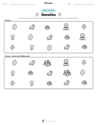 Genetics printable worksheet preview