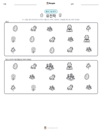 유전학 인쇄 가능한 워크시트 미리보기