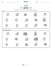 遗传学 可打印工作表预览