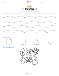 Genetics printable worksheet preview