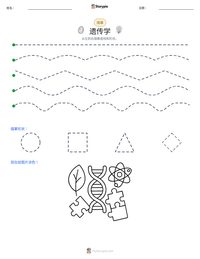 遗传学 可打印工作表预览