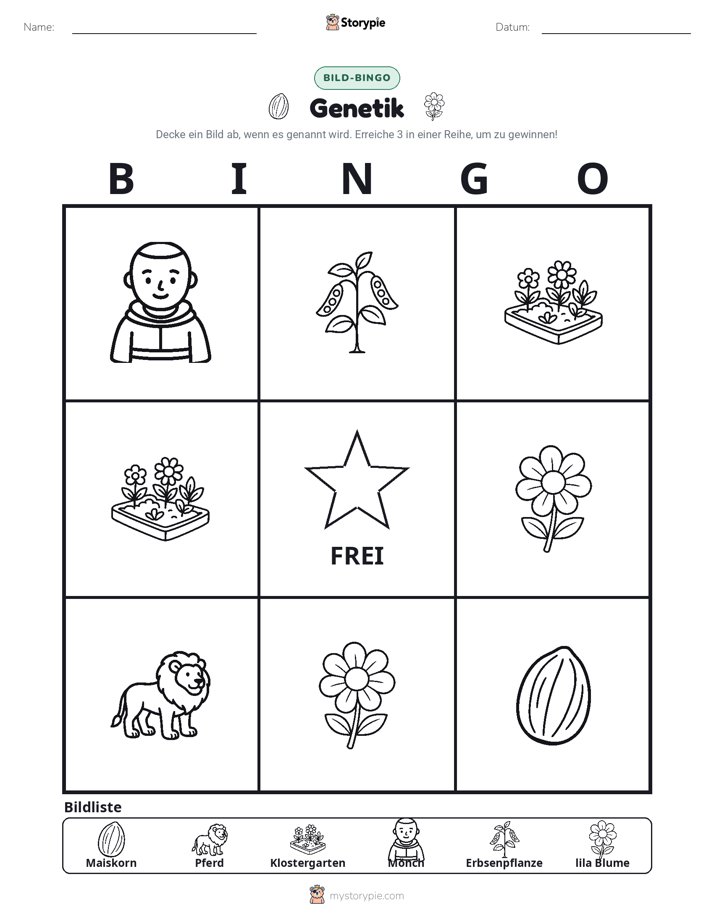 Bild-Bingo