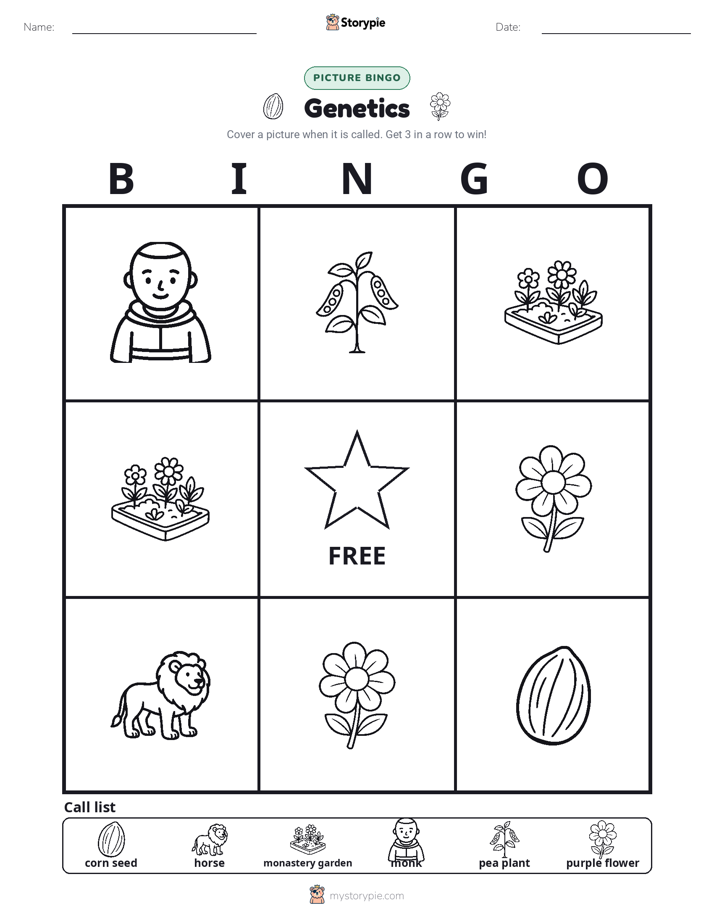 Picture Bingo
