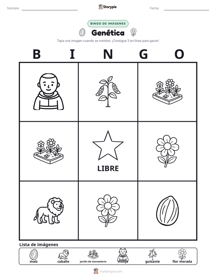Bingo de Imágenes