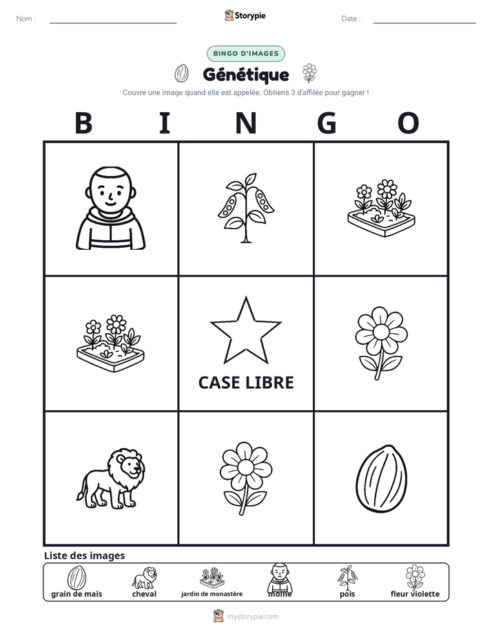 Bingo d'Images