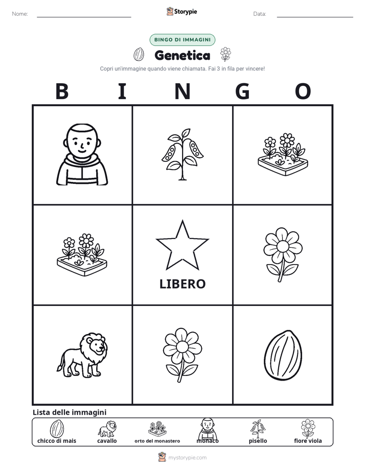 Bingo delle Immagini