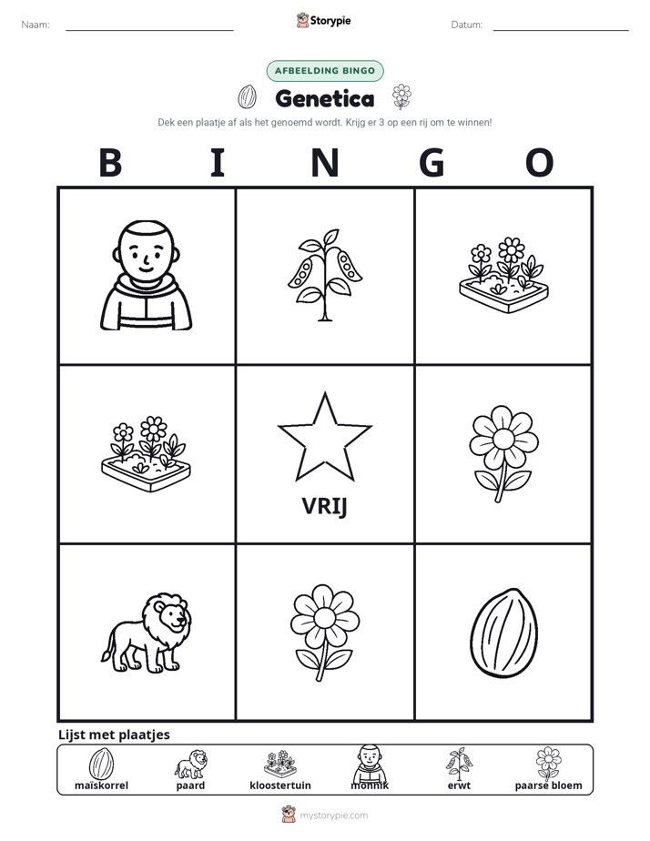 Afbeelding Bingo