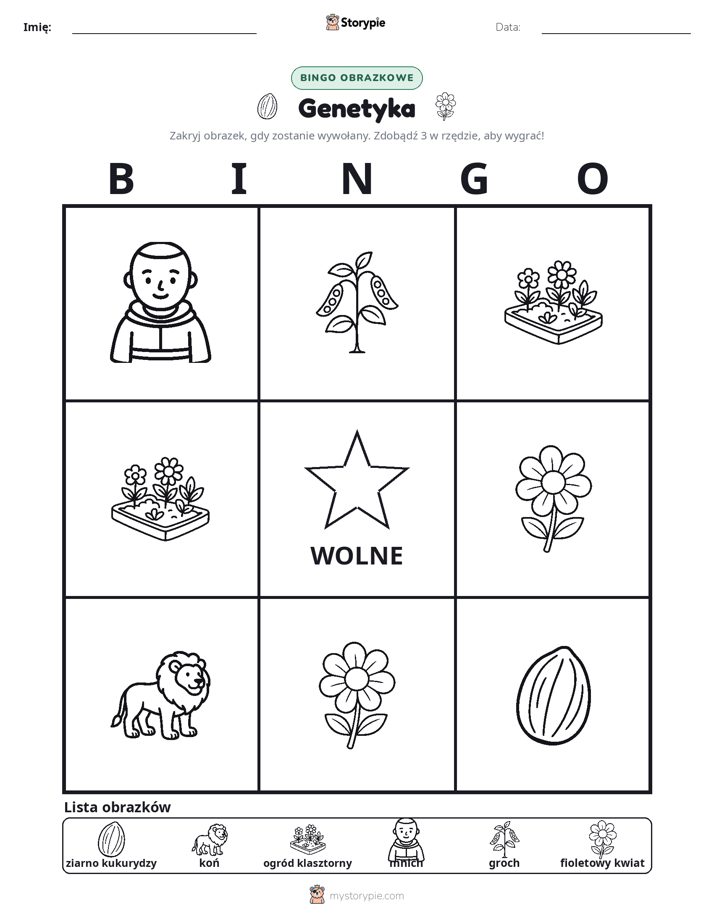 Bingo obrazkowe