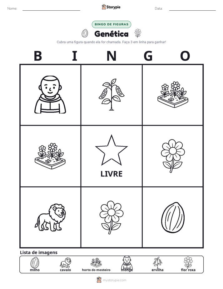 Bingo de Imagens