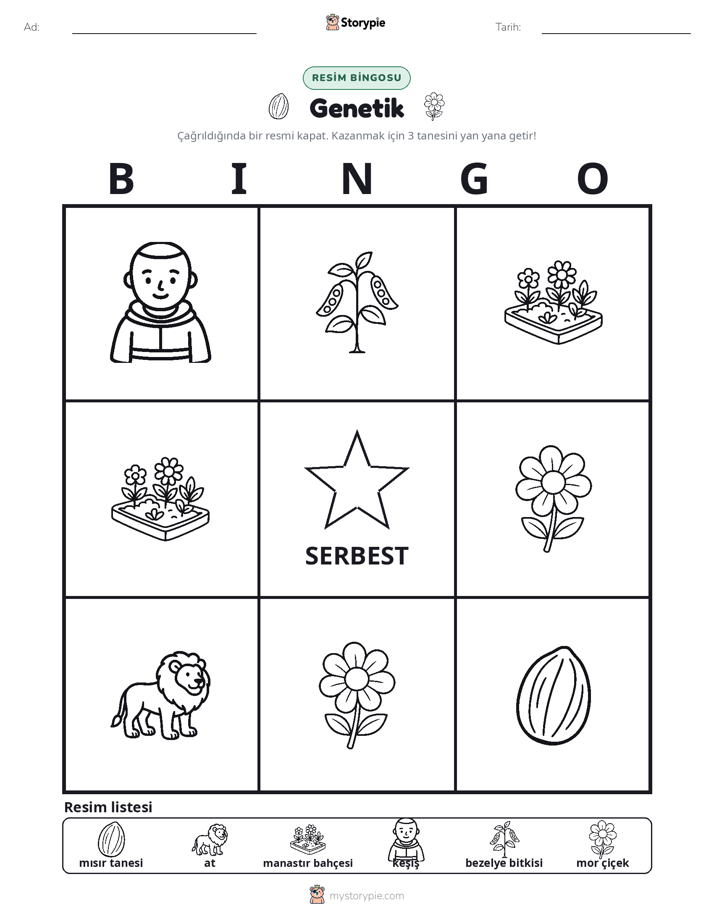 Resim Bingo