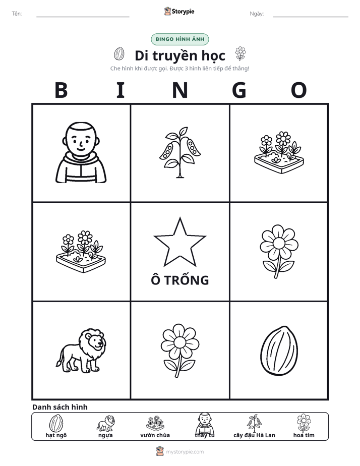 Bingo Hình Ảnh