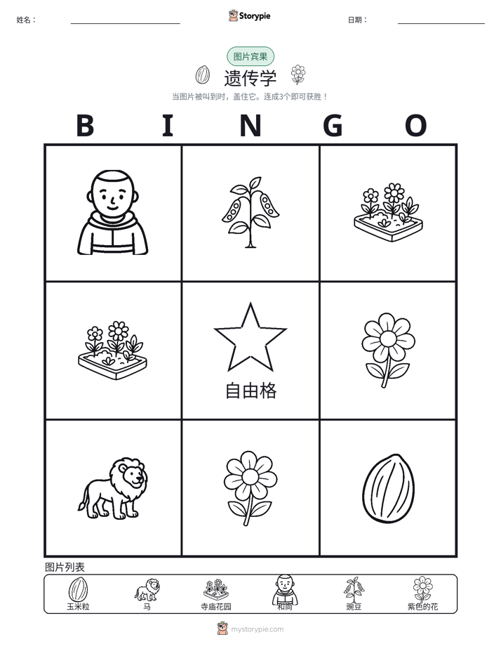 图片宾果
