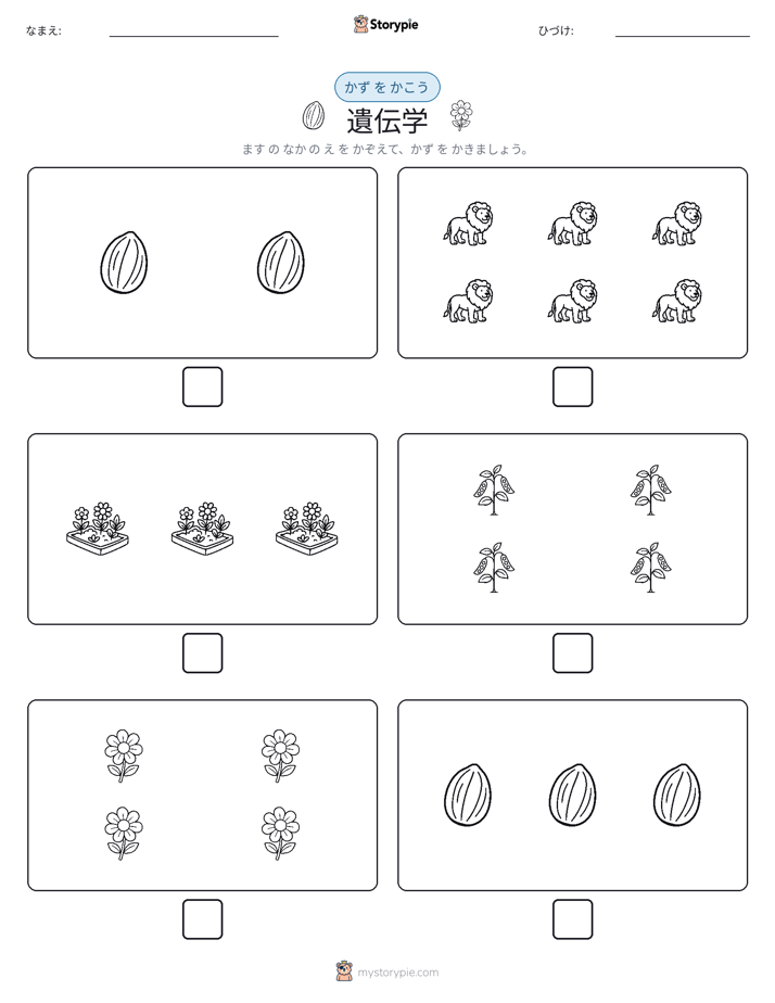 カウント＆ライティング