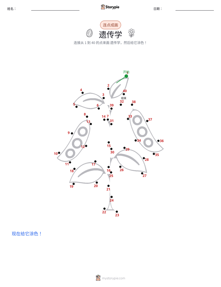 连点成线