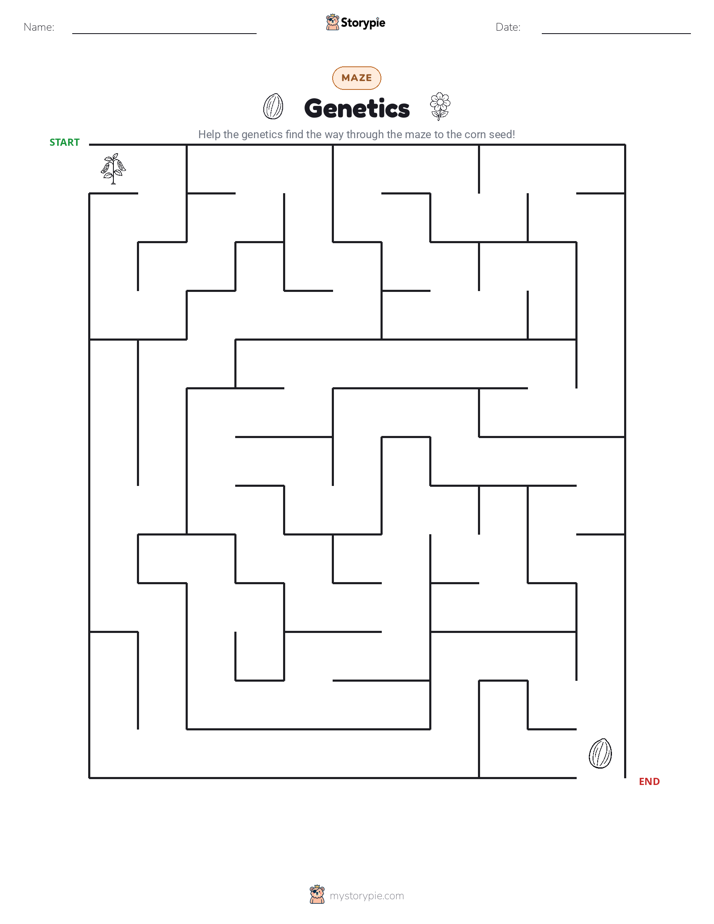 Maze