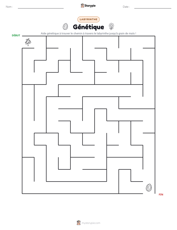 Labyrinthe