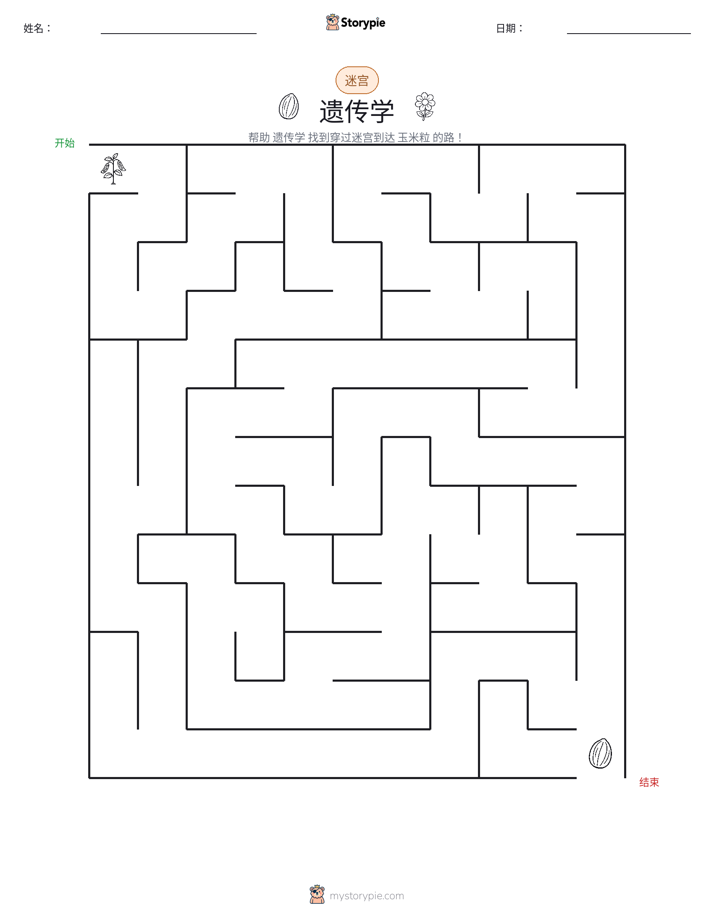 迷宫