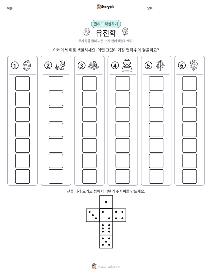 롤 & 색칠하기