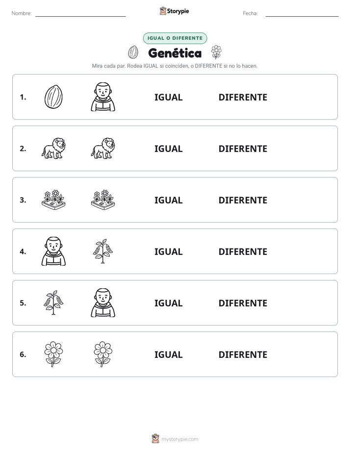 Igual o Diferente